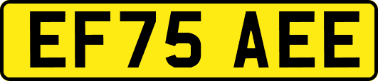 EF75AEE