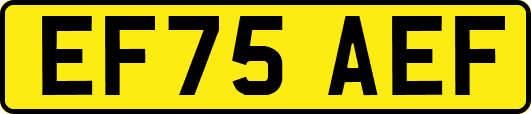 EF75AEF