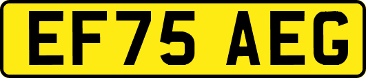 EF75AEG