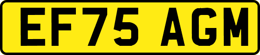 EF75AGM