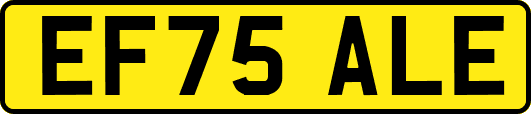 EF75ALE