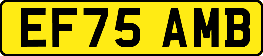 EF75AMB