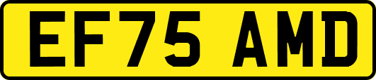 EF75AMD