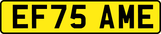 EF75AME