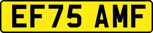 EF75AMF
