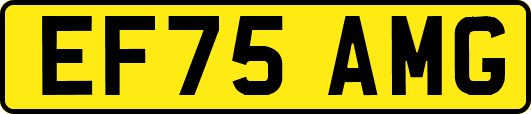 EF75AMG