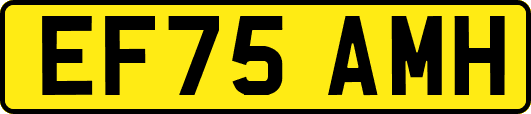 EF75AMH