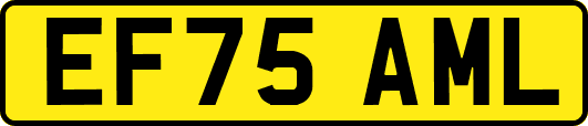 EF75AML