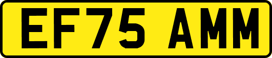 EF75AMM