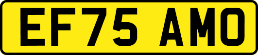 EF75AMO