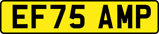 EF75AMP