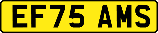 EF75AMS
