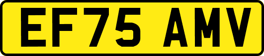EF75AMV
