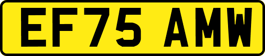 EF75AMW