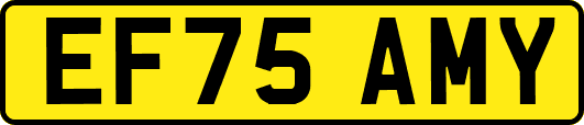 EF75AMY