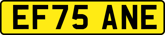 EF75ANE