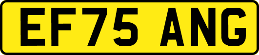 EF75ANG