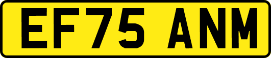 EF75ANM