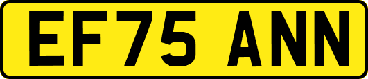EF75ANN