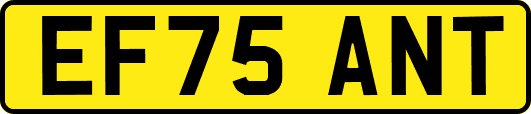 EF75ANT