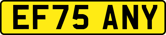EF75ANY