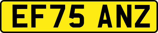 EF75ANZ