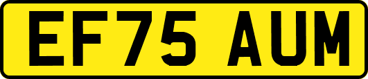 EF75AUM
