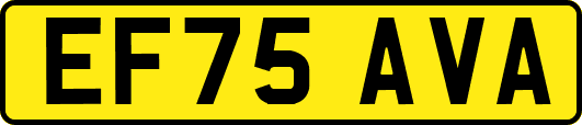 EF75AVA