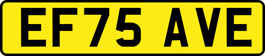 EF75AVE