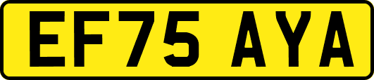 EF75AYA