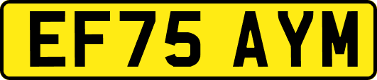EF75AYM