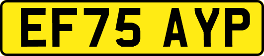 EF75AYP
