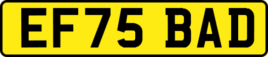 EF75BAD