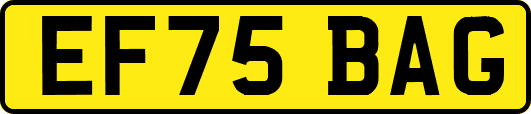 EF75BAG