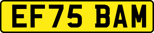 EF75BAM
