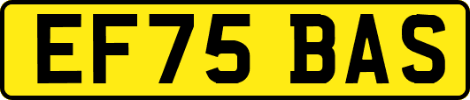 EF75BAS