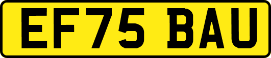 EF75BAU