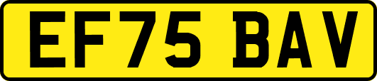 EF75BAV
