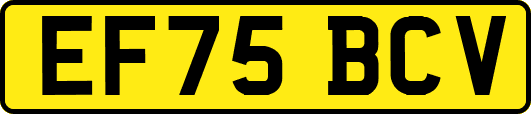 EF75BCV