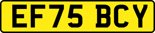 EF75BCY
