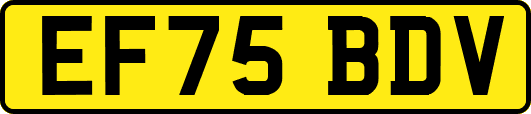 EF75BDV