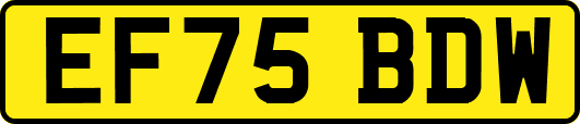 EF75BDW