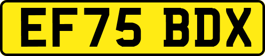 EF75BDX