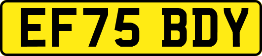 EF75BDY