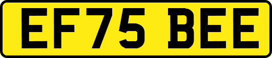 EF75BEE
