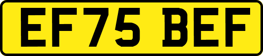 EF75BEF