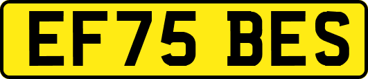 EF75BES