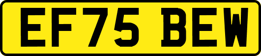 EF75BEW
