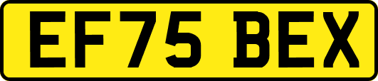 EF75BEX