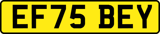 EF75BEY